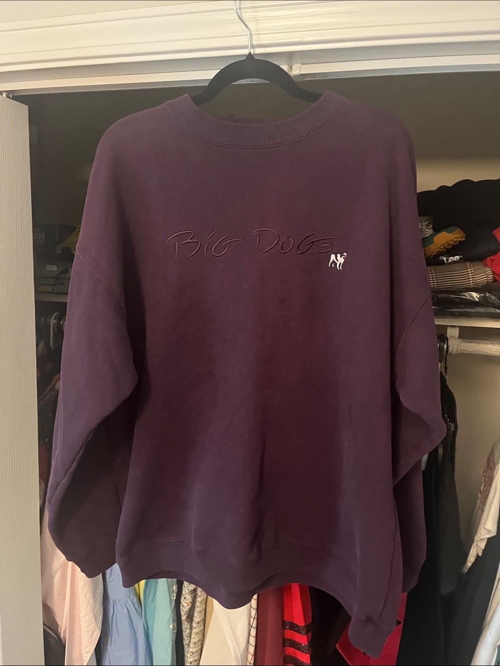 Big Dogs Men's Crewneck Sweatshirt - Plum